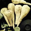 Thompson and Morgan Parsnip : Avonresister Seeds