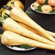 Thompson and Morgan Parsnip : Tender & True Seeds