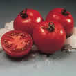 Thompson and Morgan Cristal F1 Hybrid Tomato Seeds