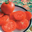 Thompson and Morgan Legend Tomato Seeds