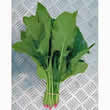 Thompson and Morgan Spinach : Oriento F1 Hybrid Seeds
