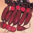 Thompson and Morgan Beetroot : Alto F1 Hybrid Seeds