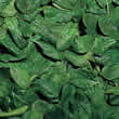 Thompson and Morgan Spinach : Scenic Seeds