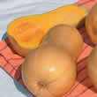 Thompson and Morgan Squash : Winter : Harrier F1 Hybrid Seeds