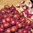 Thompson and Morgan Shallot Prisma F1 Hybrid Seeds