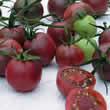 Thompson and Morgan Black Cherry Tomato Seeds