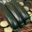 Thompson and Morgan Courgette : Midnight F1 Hybrid Seeds