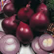 Thompson and Morgan Onion : Red Baron Seeds