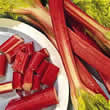 Thompson and Morgan Rhubarb : Glaskins Perpetual Seeds