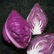 Thompson and Morgan Cabbage : Kalibos Seeds