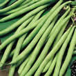 Thompson and Morgan Bean : Climbing Bean : Cobra Seeds