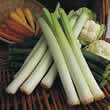Thompson and Morgan Leek : King Richard Seeds