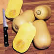 Thompson and Morgan Squash : Winter : Avalon F1 Hybrid Seeds