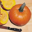 Thompson and Morgan Pumpkin : Mars F1 Hybrid Seeds