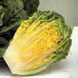 Thompson and Morgan Lettuce : Winter Gem (January-May) Seeds
