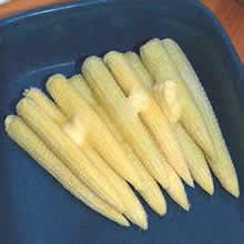Thompson and Morgan Snobaby Sweetcorn Seeds