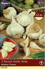 Arno French Garlic Bulbs (Spring Planting)