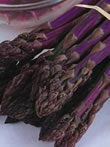 Pacific Purple Asparagus - Spring Planting