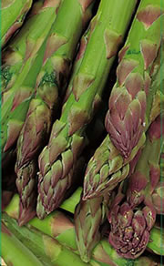 Asparagus Crowns - Gijnlim (2 Plants)
