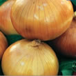 Budget Ailsa Craig Onion Seeds
