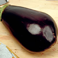 Bugdet Black Beauty Aubergine Seeds