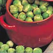 Budget Groninger Brussels Sprout Seeds