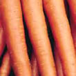Budget Autumn King Carrot Seeds