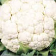 Budget All Year Round Cauliflower Seeds