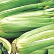 Budget Pascal Celery Seeds