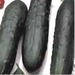 Budget Marketer Cucumber Seeds