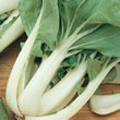Budget Pak Choi Seeds