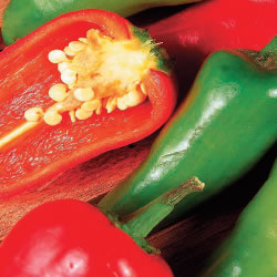 Budget Jalapeno Chilli Pepper Seeds