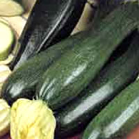 Budget Black Beauty Courgette Seeds