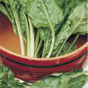 Budget Beet Perpetual Spinach Seeds