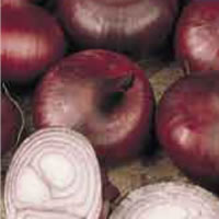 Budget Brunswick Onion Seeds