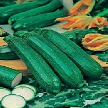 Country Value All Green Bush Courgette Seeds
