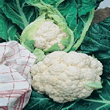 Country Value All The Year Round Cauliflower Seeds