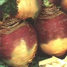 Country Value Best of All Swede Seeds