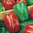Country Value California Wonder Sweet Pepper