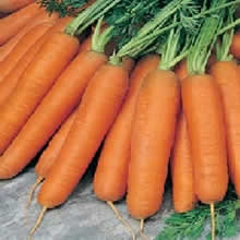 Country Value Early Nantes Carrot Seeds