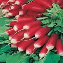 Country Value French Breakfast Radish Seeds