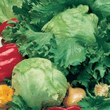 Country Value Iceberg Lettuce Seeds