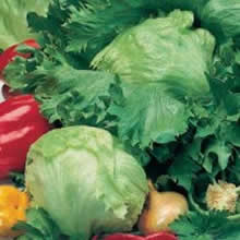 Country Value Iceberg Lettuce Seeds