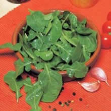 Country Value Rocket Salad Leaves Seeds