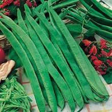 Country Value Scarlet Emperor Runner Bean Seeds