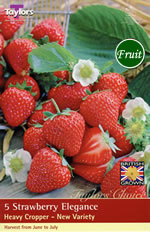Strawberry Crown Elegance