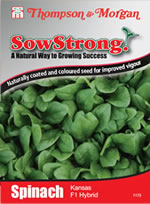 Sow Strong Kansas F1 Hybrid Spinach Seeds