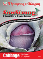 Sow Strong Mohykan F1 Hybrid Cabbage