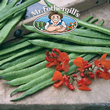 Mr Fothergills Aintree Runner Bean Seeds
