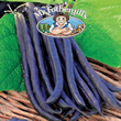 Mr Fothergills Amethyst Dwarf Bean Seeds